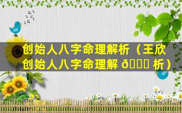 创始人八字命理解析（王欣创始人八字命理解 🐛 析）